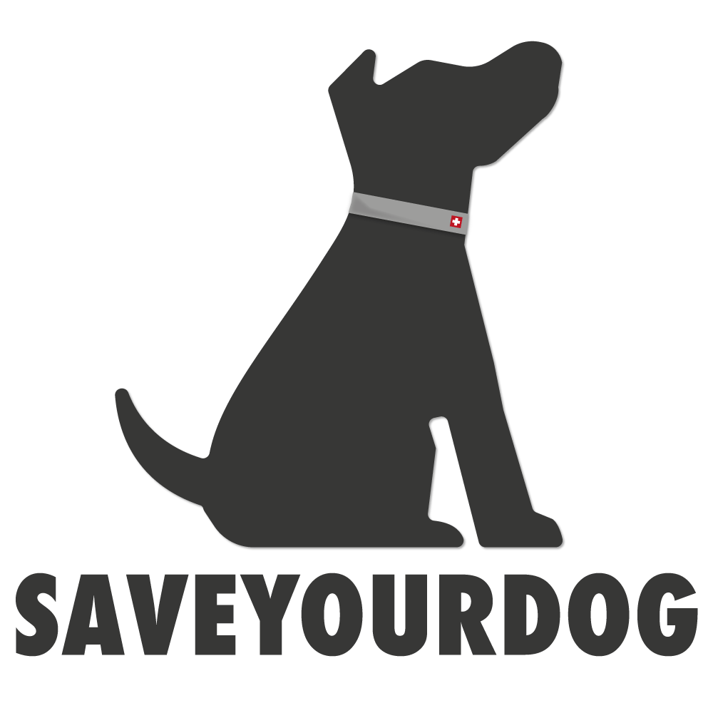 Save Your Dog