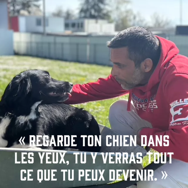Chaque moment passé avec ton chien te rappelle ce que signifie réellement l'écoute, la complicité, la patience et la bienveillance.

Ton chien ne te juge jamais. Il est prêt à te suivre partout, même dans une brouette...

Et toi, es-tu prêt à devenir celui qu'il voit déjà en toi ?
www.saveyourdog.ch 

#Inspiration #Complicité #Chiens #DéveloppementPersonnel #InstructeurCanin #saveyourdog